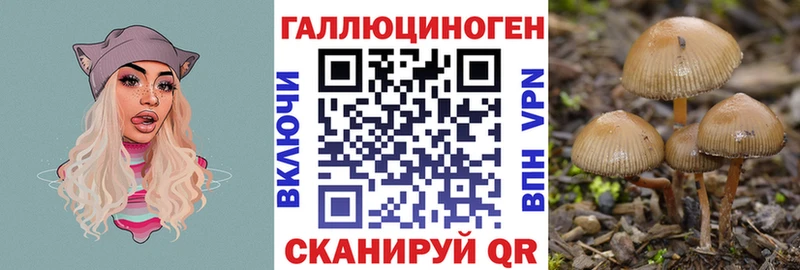 Псилоцибиновые грибы MAGIC MUSHROOMS  цена   Миасс 