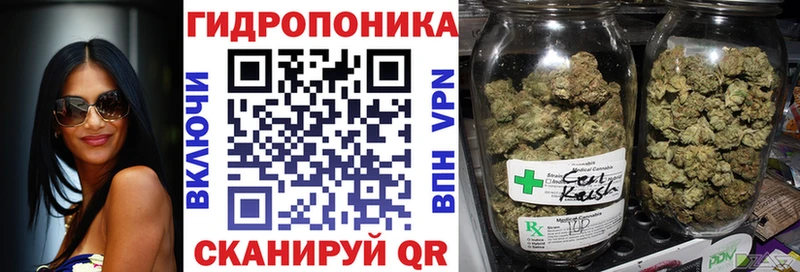Канабис гибрид  Миасс 